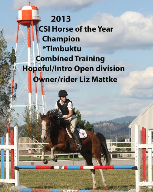 CSI 2013 Horse of the Year_ Combined Training_Intro