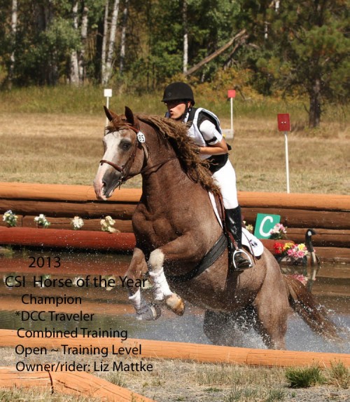 CSI  2013 Horse of the Year_Combined Training_Training Level