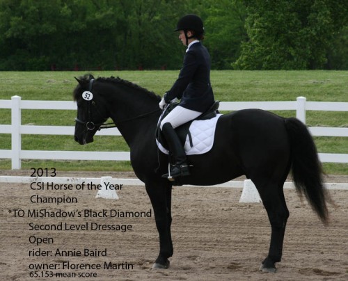 CSI  2013 Horse of the Year_Second Level Dressage