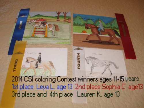 2014 CSI coloring Contest ages 11-15years