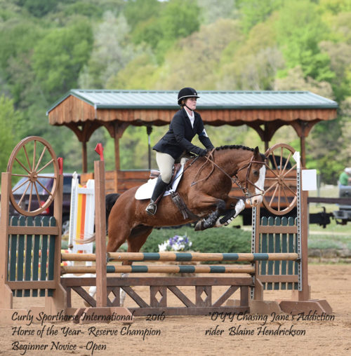 blaine-h-and-oyy-chasing-janes-addiction-2016-csi-horse-of-the-year-reserve-champion